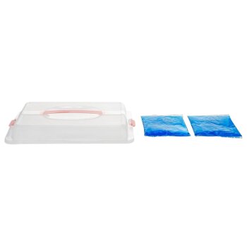 SILVERCREST® Kühl-Lunchboxen/ Kühl-Partycontainer/ Kühl-Tortenglocke - B-Ware