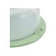 SILVERCREST® Kühl-Lunchboxen/ Kühl-Partycontainer/ Kühl-Tortenglocke - B-Ware