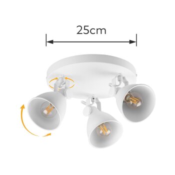 LIVARNO® LED-Deckenleuchte (Deckenstrahler, weiß) - B-Ware gut