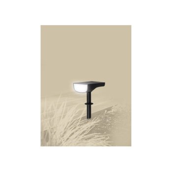 LIVARNO® LED-Solarstrahler - B-Ware