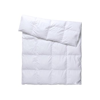 LIVARNO® Luxus-Daunendecke, 140 x 200 cm - B-Ware sehr gut