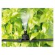 PARKSIDE® Wassernebel-Kühl- und Bewässerungssystem - B-Ware