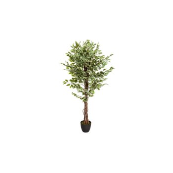 HJH OFFICE Kunstpflanze / Kunstbaum FICUS Kunststoff -...