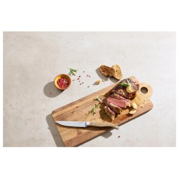 SILVERCREST® Steakmesser-Set - B-Ware