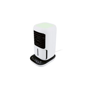 SILVERCREST® Tischluftkühler mit Sprühnebelfunktion, LED-Stimmungslicht - B-Ware