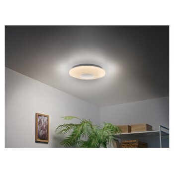 LIVARNO home LED-Deckenleuchte mit Bluetooth®-Lautsprecher - B-Ware