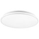 LIVARNO® LED-Deckenleuchte - B-Ware
