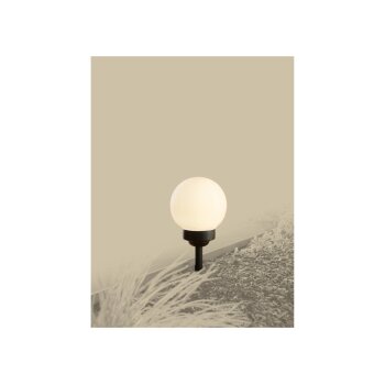 LIVARNO® LED-Solar-Kugelleuchte - B-Ware