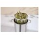 SILVERCREST® Premium-Spargeltopf, Ø 16 cm - B-Ware