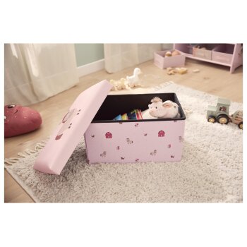 LIVARNO® Kinder Sitztruhe klein, 50 x 30 x 30 cm,...