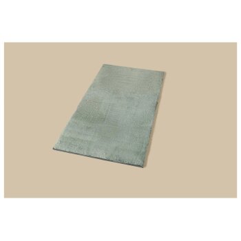 LIVARNO® Teppich, 80 x 150 cm (Hellgrau) - B-Ware neuwertig