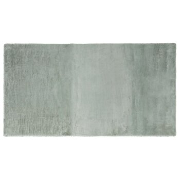 LIVARNO® Teppich, 80 x 150 cm (Hellgrau) - B-Ware neuwertig