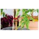 PARKSIDE® Bindezangen-Starterset - B-Ware