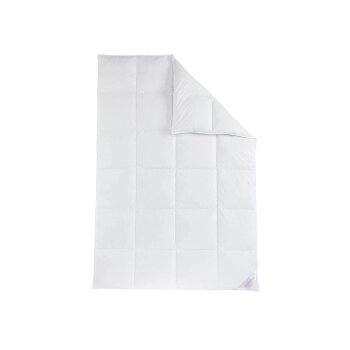 SANNWALD Premium Daunen-Kasettendecke, warm, 220 x 240 cm...
