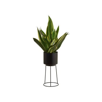 LIVARNO® Planztopf mit Gestell - B-Ware
