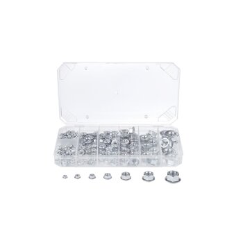 PARKSIDE® Muttern-Sortierung (Muttern mit Flansch) - B-Ware Transportschaden Kosmetisch
