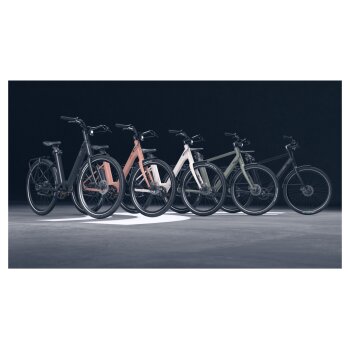 CRIVIT Urban E-Bike Y.2 All Black - B-Ware sehr gut