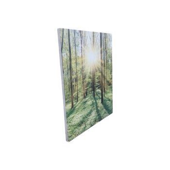 marmony® Infrarot-MOTIV-Heizkörper 500 W mit Thermostat MTC-40 (Wald) - B-Ware neuwertig