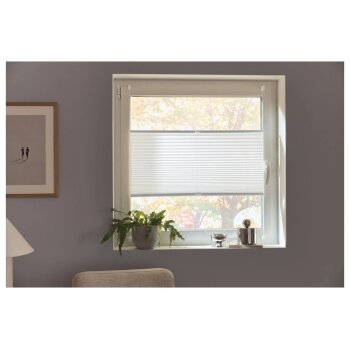 LIVARNO® Plissee Rollo für Fenster, 60 x 130 cm, Montage ohne Bohren - B-Ware