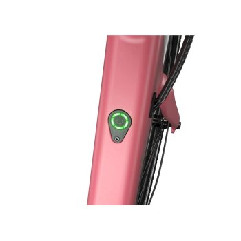 CRIVIT E-Bike »Urban Y.3« GATES Riemenantrieb, 27,5 Zoll (Berry Blush) - B-Ware neuwertig
