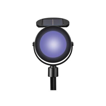 LIVARNO® LED-Solarleuchte - B-Ware neuwertig