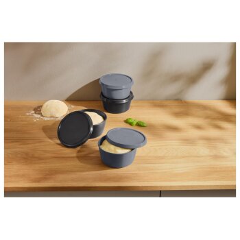 SILVERCREST® Pizzateig-Boxen, 4 Stück - B-Ware sehr gut