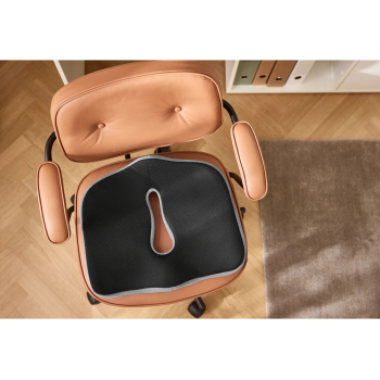 LIVARNO® Memory-Foam-Steißbeinkissen - B-Ware neuwertig