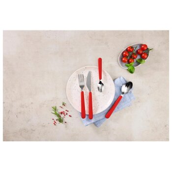 SILVERCREST® Edelstahl-Besteck-Set (Rot) - B-Ware neuwertig