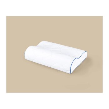 LIVARNO® Nackenstützkissen TopCool®, 50 x 36 cm - B-Ware neuwertig