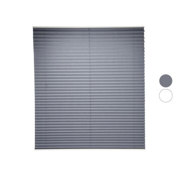 LIVARNO® Plissee Rollo, für Fenster, Montage...