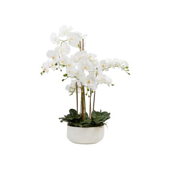 Pureday Kunstpflanze »Orchideentopf«, mit...
