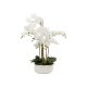Pureday Kunstpflanze »Orchideentopf«, mit prächtigen Blüten - B-Ware sehr gut