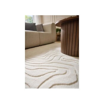 LIVARNO® Langflor-Teppich, 80 x 150 cm, beige - B-Ware sehr gut