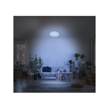 Livarno home Deckenleuchte Starlight LED, ohne Rand - B-Ware Transportschaden Kosmetisch