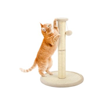 ZOOFARI® Katzen-Kratzbaum - B-Ware