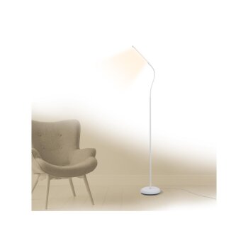 LIVARNO® LED-Stehleuchte (weiß) - B-Ware neuwertig