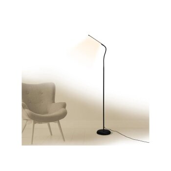 LIVARNO® LED-Stehleuchte - B-Ware