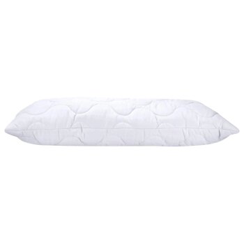 LIVARNO® Kopfkissen, 40 x 80 cm - B-Ware sehr gut