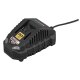 PARKSIDE® 20 V / 2 Ah Akku Limited Edition »PAP 202 A1« + 20 V / 2,4 A Akku-Ladegerät Limited Edition »PLG 20 C1« - B-Ware sehr gut