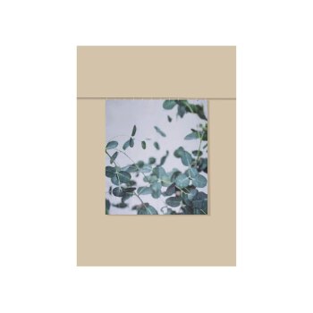 LIVARNO® Duschvorhang, 180 x 200 cm (Blätter) - B-Ware neuwertig
