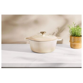 SILVERCREST® Premium-Gusseisentopf, Ø 27 cm - B-Ware