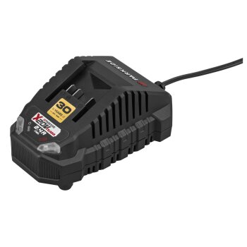 PARKSIDE® 20 V / 2 Ah Akku Limited Edition »PAP 202 A1« + 20 V / 2,4 A Akku-Ladegerät Limited Edition »PLG 20 C1« - B-Ware neuwertig