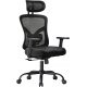 Noblewell Ergonomischer Bürostuhl NWOC1, schwarz - B-Ware sehr gut
