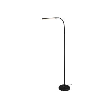 LIVARNO® LED-Stehleuchte, schwarz - B-Ware neuwertig