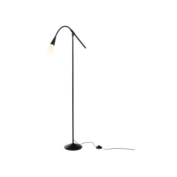 LIVARNO® LED-Stehleuchte »Freya« - B-Ware