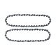 PARKSIDE® Ersatz-Sägeketten, 2 Stück - B-Ware