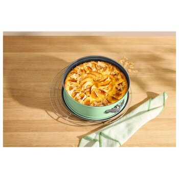 SILVERCREST® Springform / Königskuchenform / Gugelhupfform (Springform, Mint) - B-Ware Transportschaden Kosmetisch
