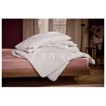 LIVARNO home Duo-Steppbett Polygiene®, 240 x 220 cm - B-Ware Beschädigt (Textil)