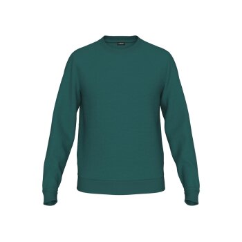 LIVERGY® Herren Sweatpullover mit Baumwolle (Grün, S (44/46)) - B-Ware neuwertig