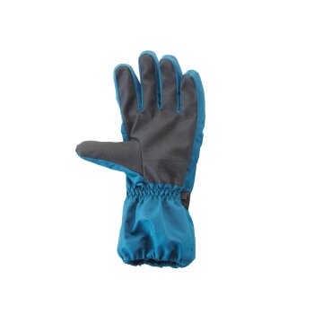 CRIVIT Herren Skihandschuhe, wasser- und winddicht (blau/gelb, 9) - B-Ware neuwertig